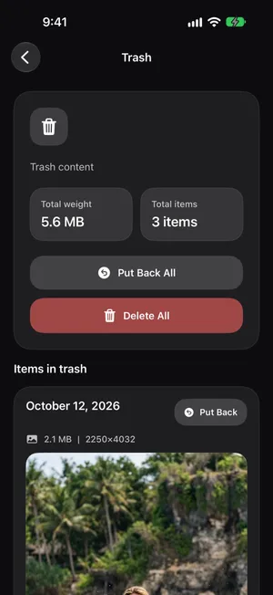The PrunePic Trash: total weight 5.6 MB, 3 items, Put Back All and Delete All buttons, and the first trashed photo with a Put Back button