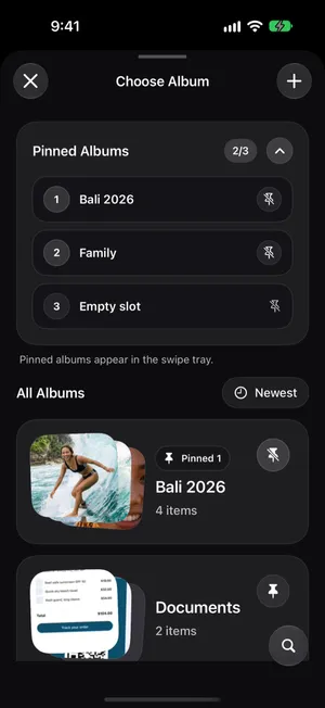 The Choose Album sheet in PrunePic with Pinned Albums at the top, the list of all albums and a search button